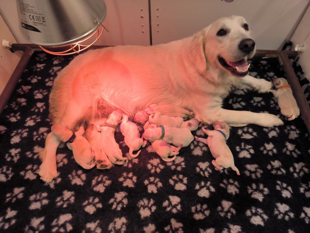 Des Ti'jumps - Le 16/10/2024 Naissance des bbs de Thora 