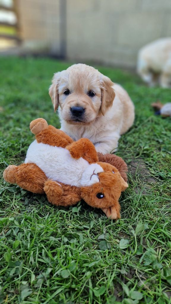 Prochain Mariage prévu en 2026 