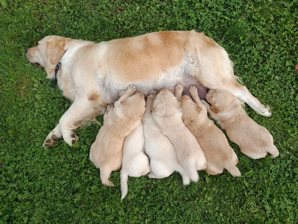 Les bbs de Twi et Nono Août 2025